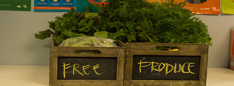 Food Pantry Produce