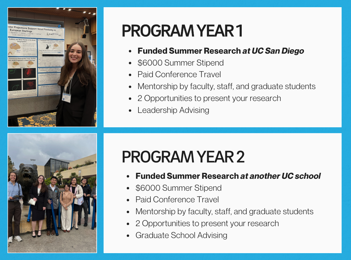 Program Structure Image 