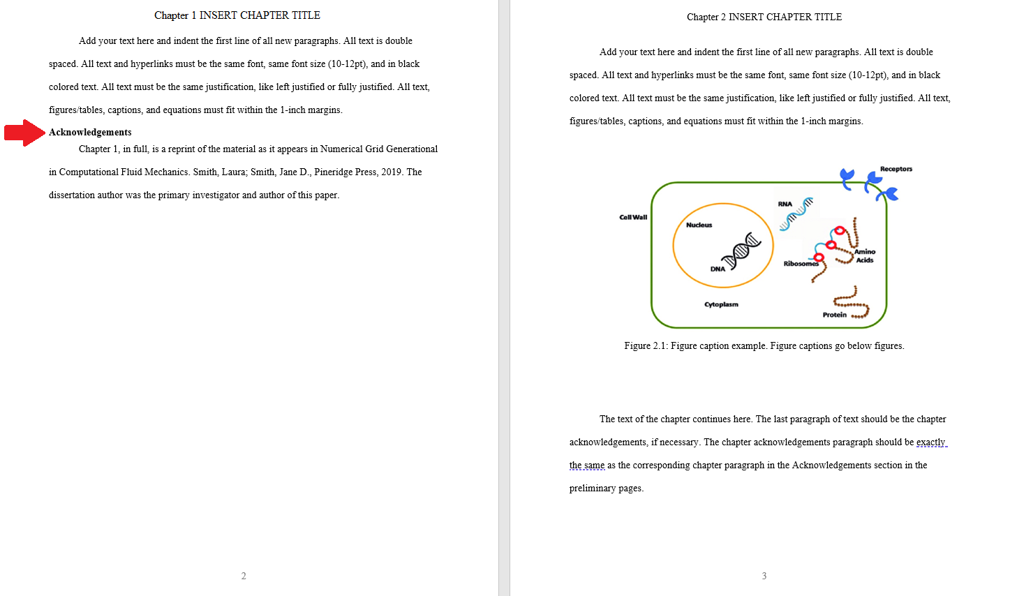 Acknowledgements example