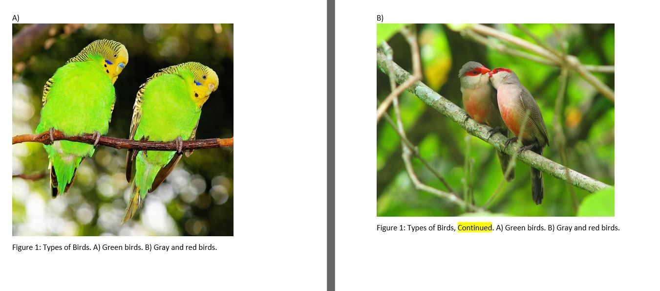 Multi page figures example